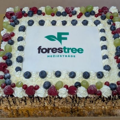 Klienta atsauksmes attēls